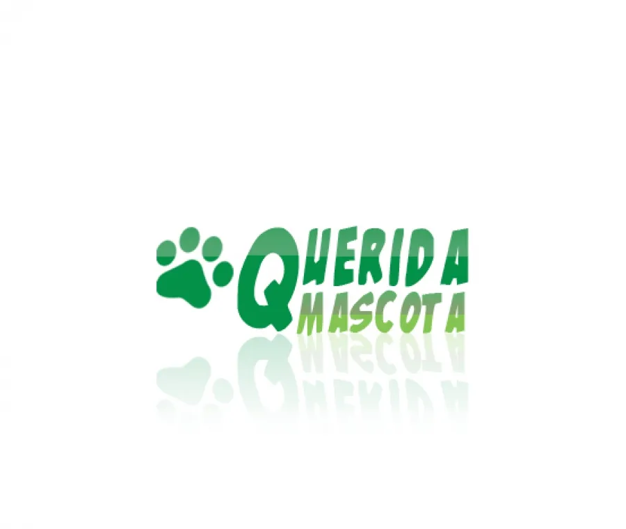 Querida Mascota