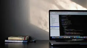 desarrollador web