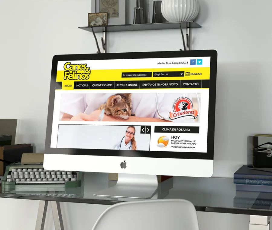 Diseño, Maquetación, Programación, Sitio, Web, Revista, Periódico