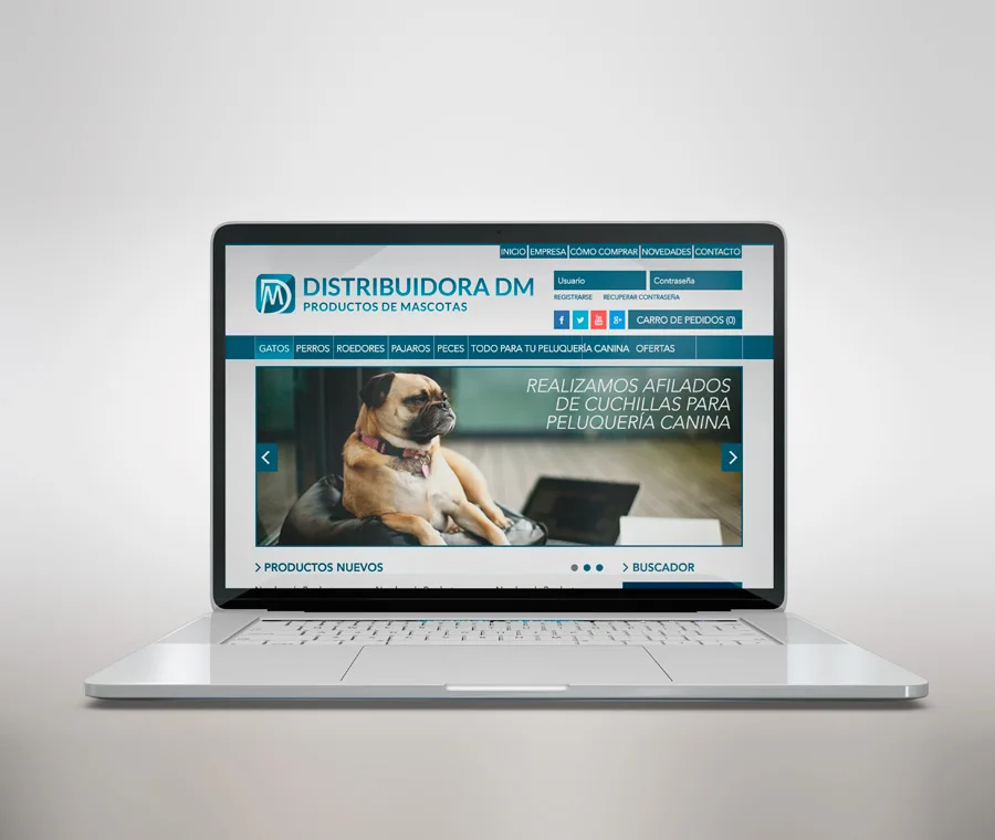 diseño, web, rosario