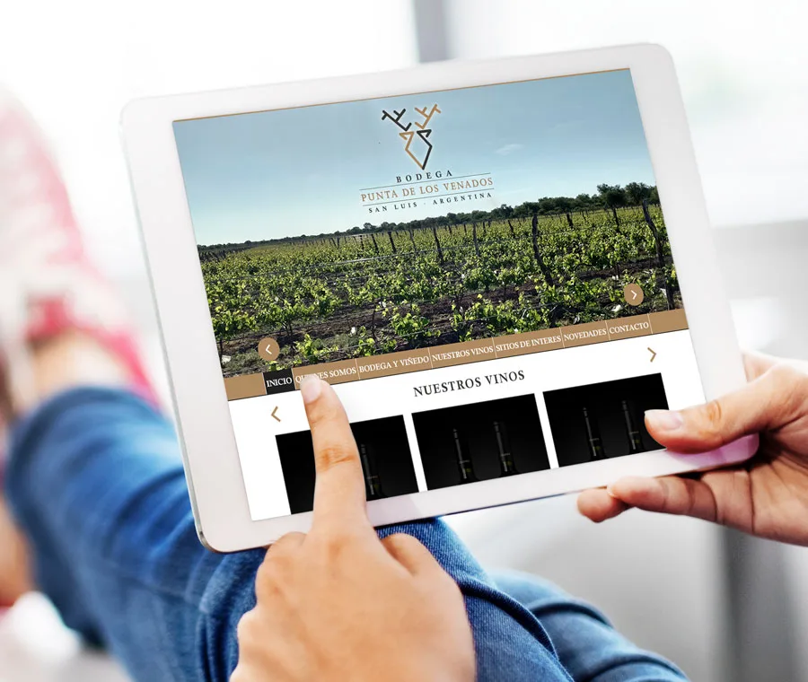 Diseño, Catálogo, Web, Maquetación, Programación, Bodega, San Luis