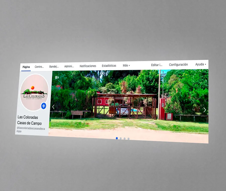 diseño, facebook, fanpage, gráfico, web