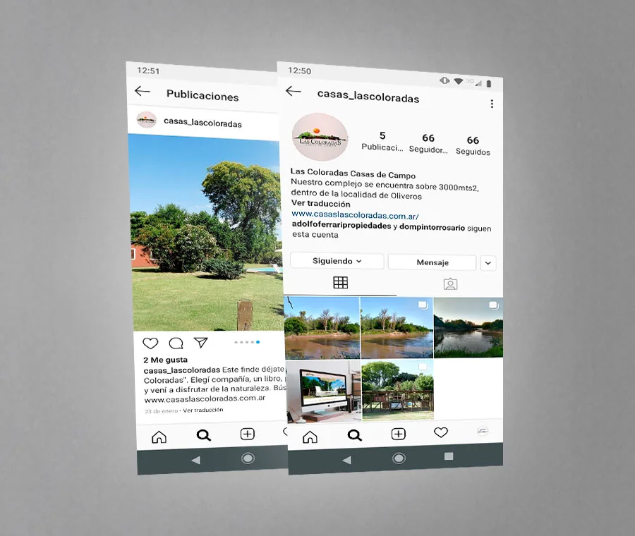 diseño, instagram, fanpage, gráfico, web