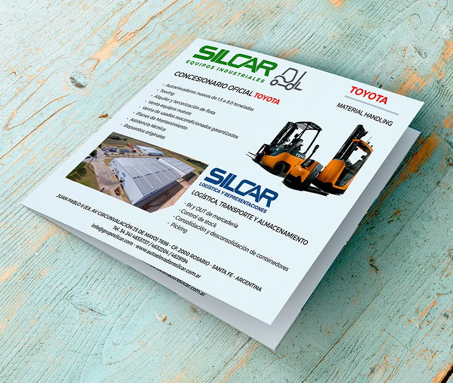 flyer, newsletter, diseño, gráfico, web
