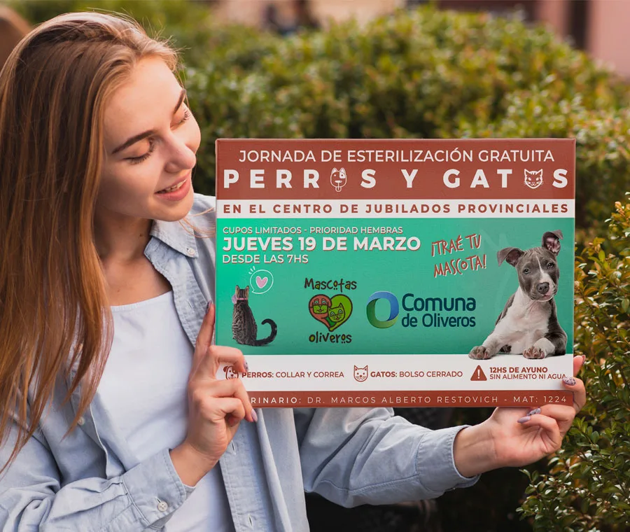 Diseño, Newsletter, Maquetación, Redes Sociales