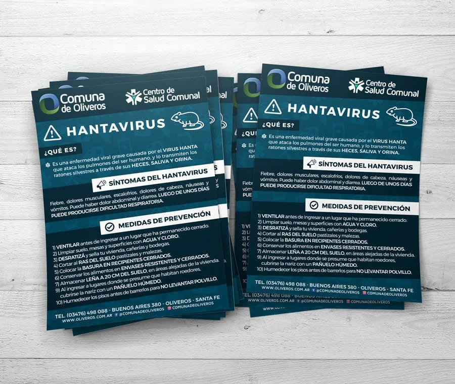 diseño, newsletter, Oliveros
