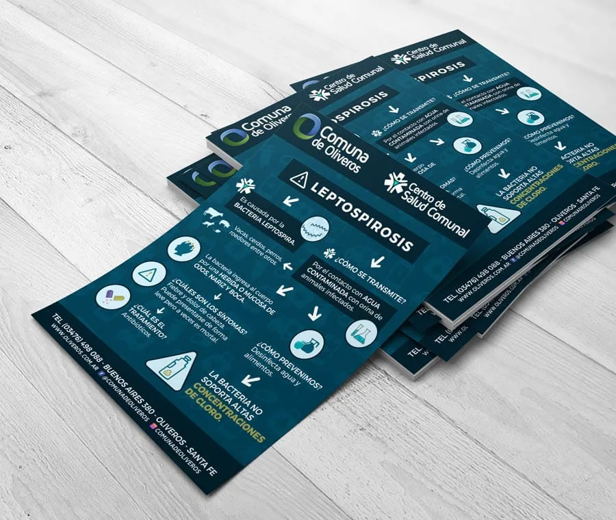 diseño, newsletter, Oliveros