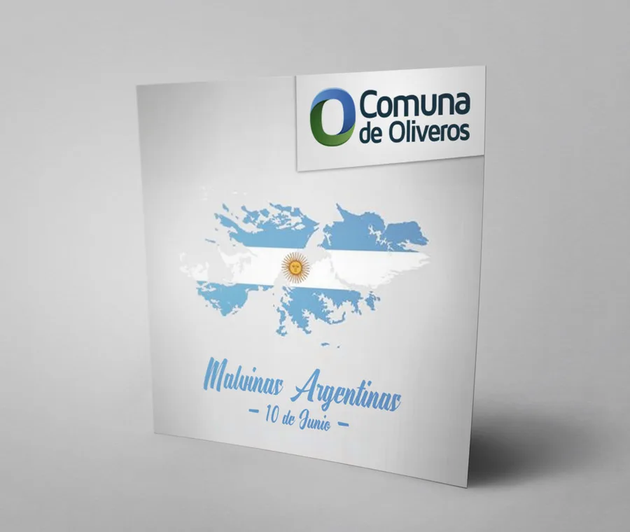 Diseño, Flyer, gráfico, Newsletter, web