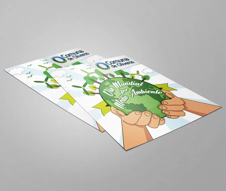 Diseño, Flyer, gráfico, Newsletter, web