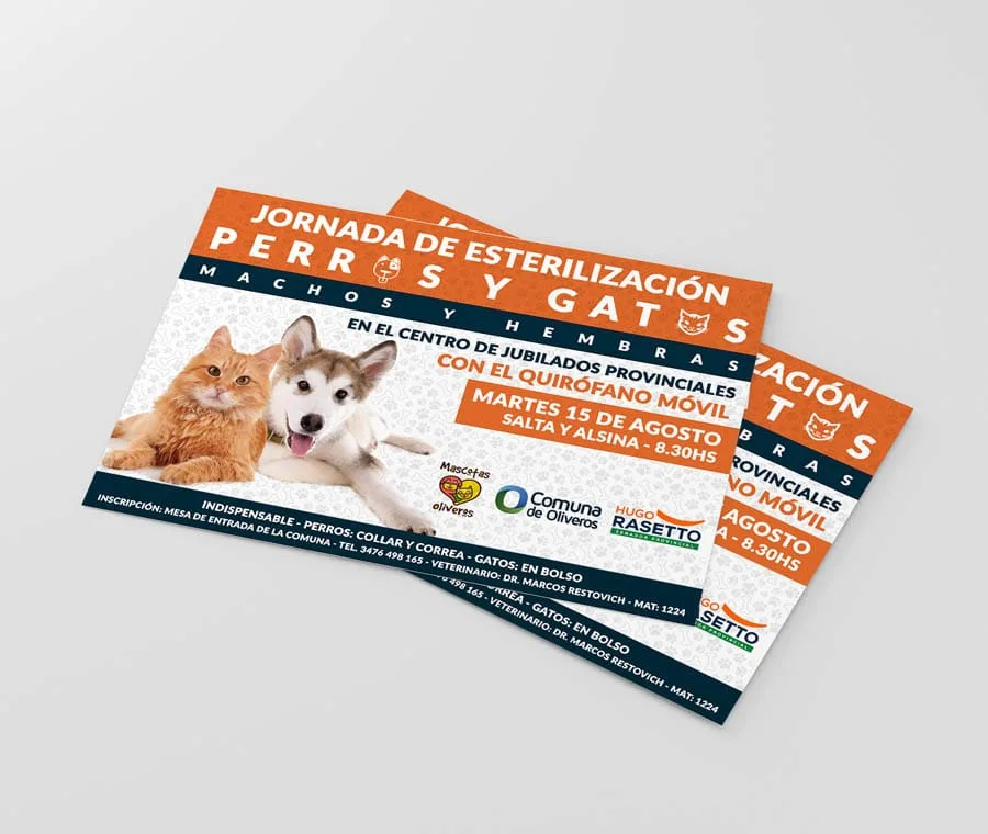 Diseño, Flyer, gráfico, Newsletter, web